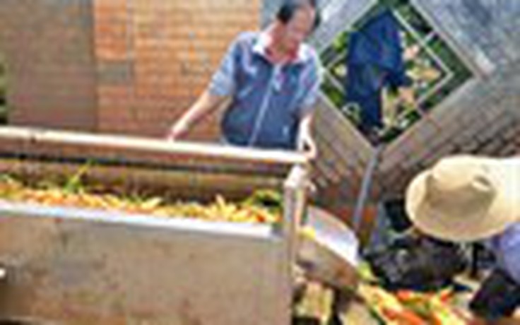 Tự tạo cơ hội - Kỳ 24: Nông dân chế tạo máy rửa cà rốt