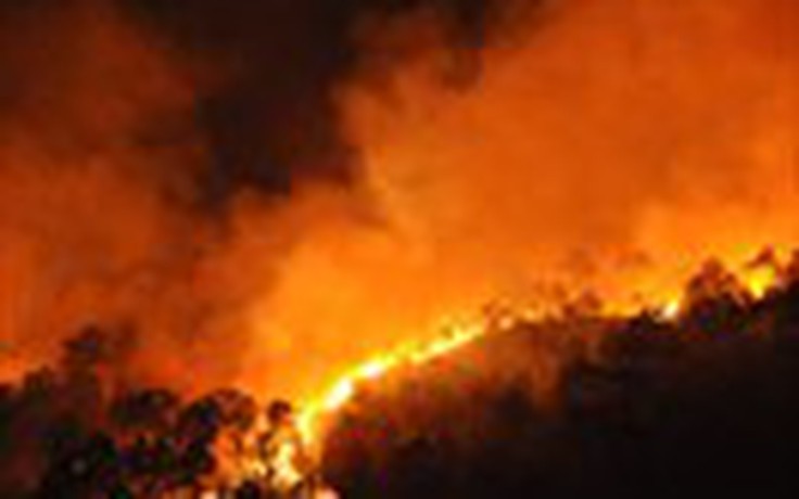 Làm rõ nguyên nhân cháy rừng đặc dụng ở Hạ Long