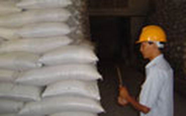Doanh nghiệp mua gạo tạm trữ đạt hơn 99% kế hoạch