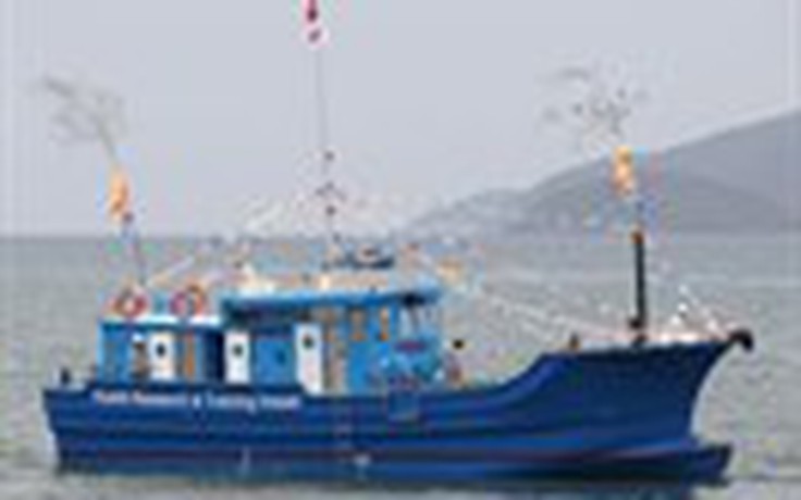 Khám phá tàu câu cá vỏ composite kiểu Nhật