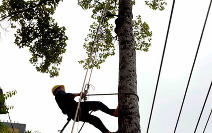 Mưu sinh với nghề nguy hiểm - Kỳ 10: Lơ lửng thợ leo cây