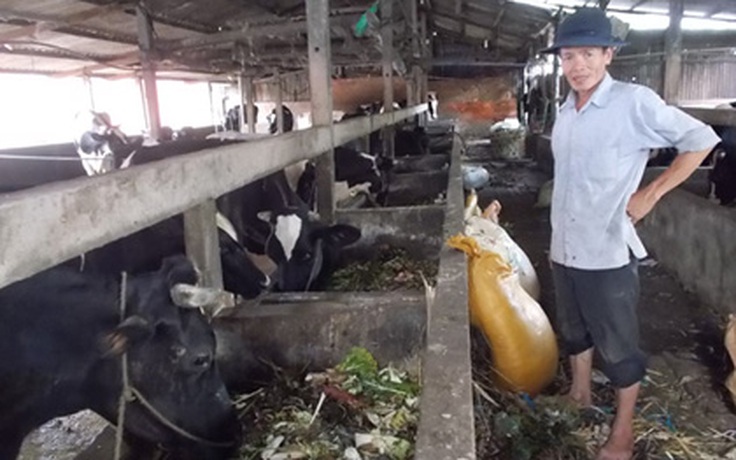 Tự tạo cơ hội - Kỳ 77: Nhặt rau vụn nuôi bò