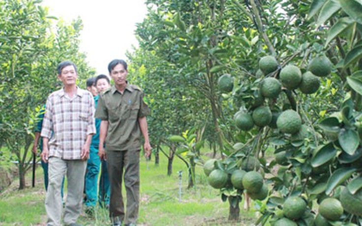 Trồng cây gì, nuôi con gì cũng bị trộm: Địa phương phải chấn chỉnh, kiên quyết xử lý triệt để