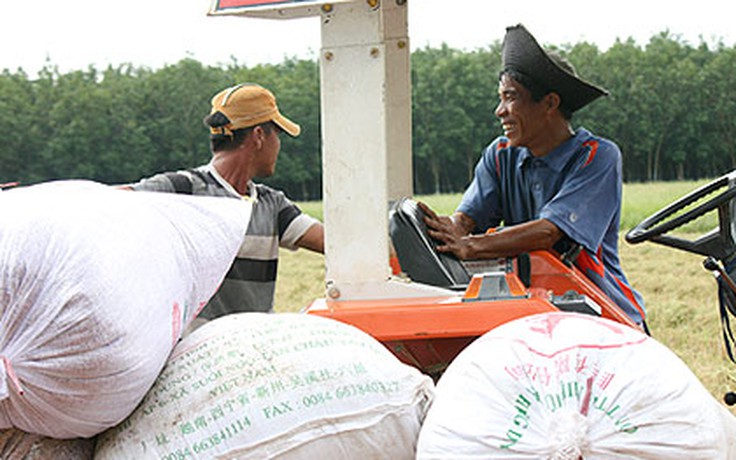 Khởi nghiệp từ cánh đồng hoang