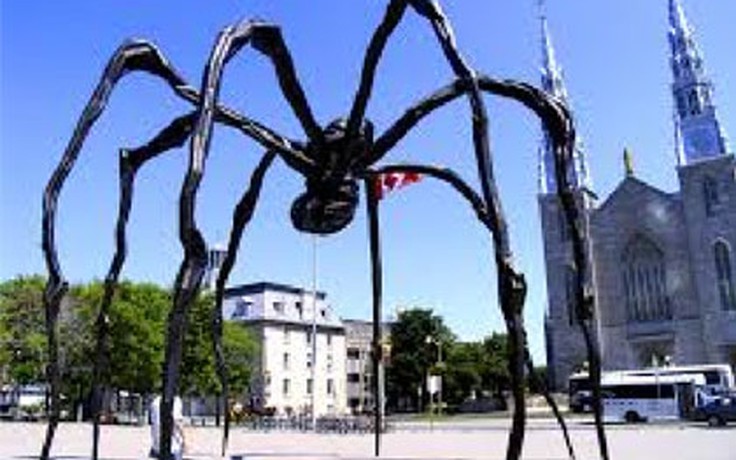Loài nhện lớn nhất thế giới