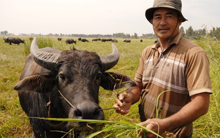 Từ chăn trâu mướn trở thành tỉ phú