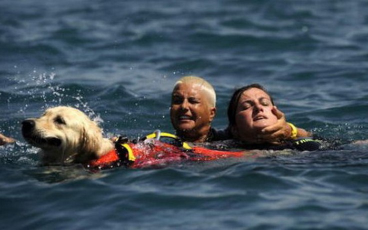 Chú chó của Totti dũng cảm cứu 2 mạng người