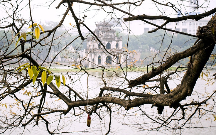 Hẹn cùng mùa xuân