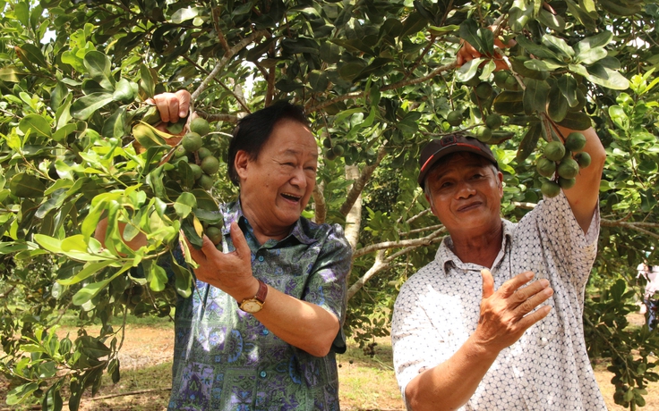 Trồng mắc ca lấy hạt 'nữ hoàng quả khô’, nông dân bán sướng hơn đi...bán vàng