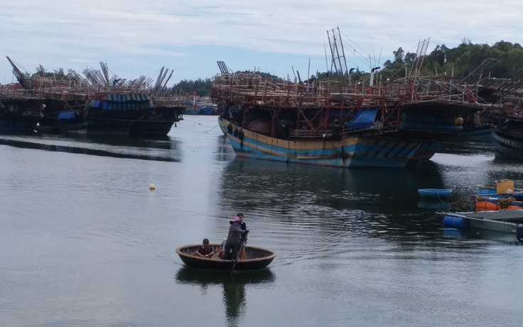 Quảng Ngãi: Hàng trăm ngư dân câu mực về bờ phải đi cách ly tập trung