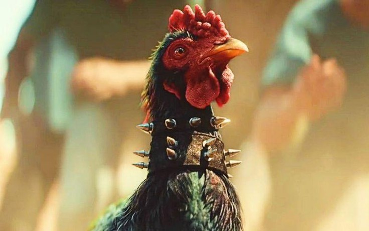 Ubisoft gặp rắc rối với PETA vì mini game chọi gà trong Far Cry 6