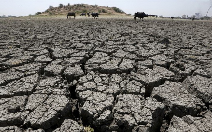 Ấn Độ trải qua thập niên nóng nhất trong lịch sử