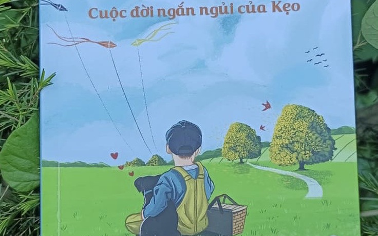 ‘Chiếc vòng cổ màu xanh’ – bức thông điệp về tình bạn và tình đồng loại