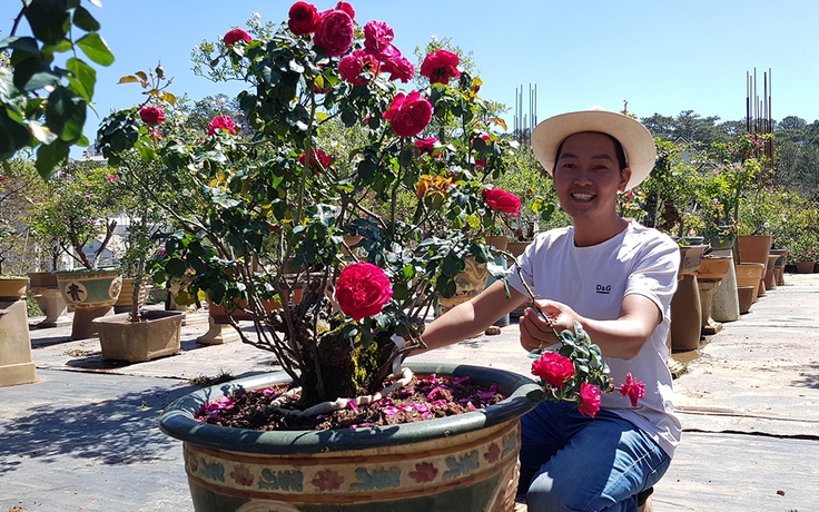 Độc lạ hoa kiểng Tết Canh Tý: Vườn bonsai hồng cổ, có cây 100 năm tuổi