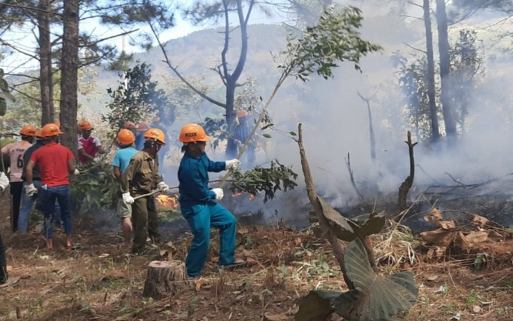 Lâm Đồng: Nguy cơ cháy rừng đang ở cấp cực kỳ nguy hiểm