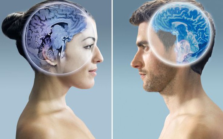 Bộ não của nữ và nam hoạt động hoàn toàn khác nhau