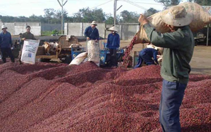 ‘Cởi trói’ cho sàn giao dịch, nông sản sẽ bớt cảnh được mùa mất giá