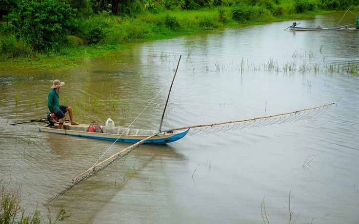 Bão Noru cải thiện mực nước sông Mê Kông, lũ đạt đỉnh nửa đầu tháng 10