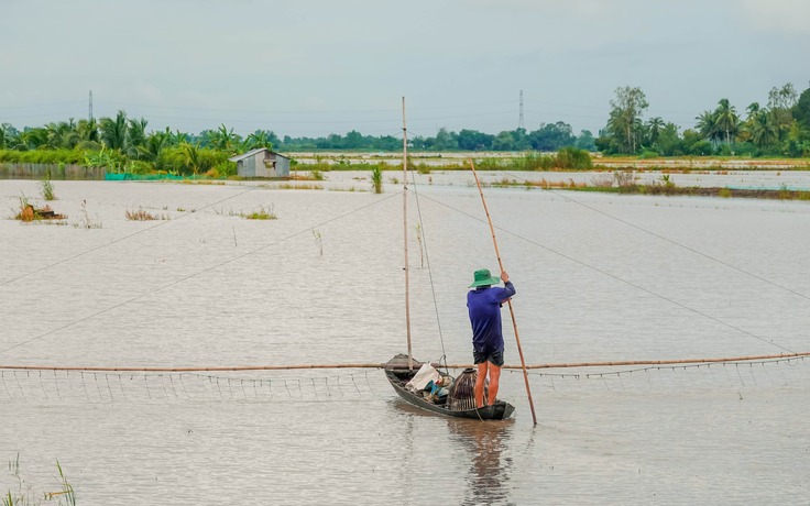 Mực nước lũ đầu nguồn sông Cửu Long sắp vượt báo động 1