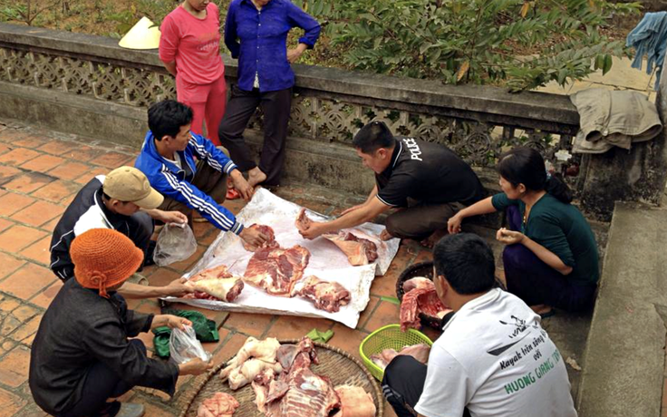 Quê tôi 'đụng' lợn ngày tết