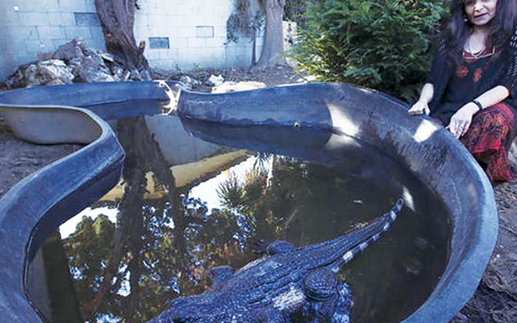 Tình yêu nguy hiểm