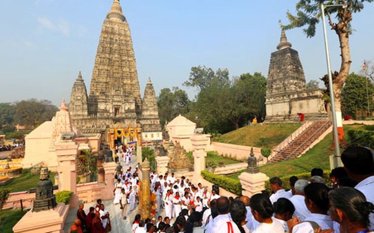 Dưới bóng bồ đề ở Bodhgaya