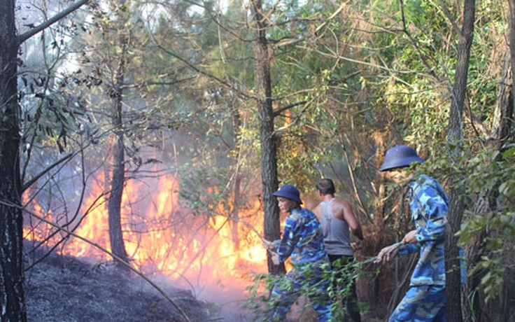 Lữ đoàn Hải quân đánh bộ 147 tham gia chữa cháy rừng