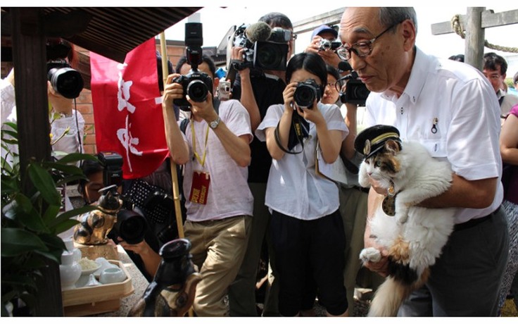 Nhật Bản: Chú mèo 'ga trưởng' Nitama chính thức nhậm chức