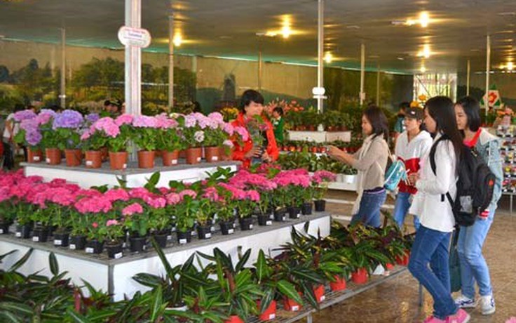 Sức mua hoa có thể tăng mạnh trong ngày 20.10
