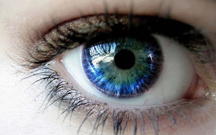 Bạn biết gì về ngày thị giác thế giới?