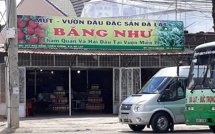 Chủ và nữ nhân viên lò mứt Băng Như đánh du khách bị phạt