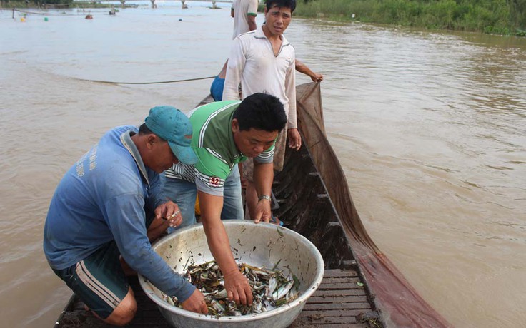 Mối lo của người dân miền sông nước Cửu Long