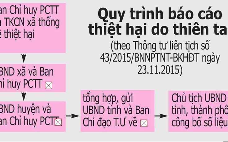 Thống kê thiệt hại không đúng là vi phạm pháp luật