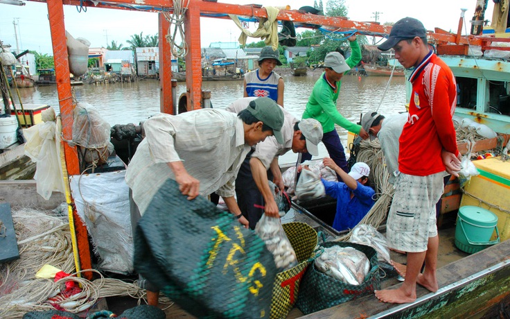 Gian nan gỡ thẻ vàng IUU