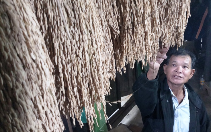 Người giữ hương lúa baton của đồng bào Bh’noong