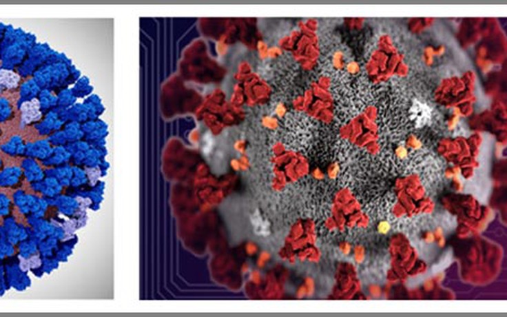 Mô phỏng khổng lồ virus gây dịch Covid-19 hoàn thành trên siêu máy tính Frontera