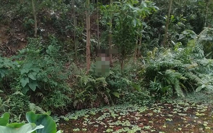 Phát hiện thi thể đang phân hủy trong rừng keo ở Quảng Nam