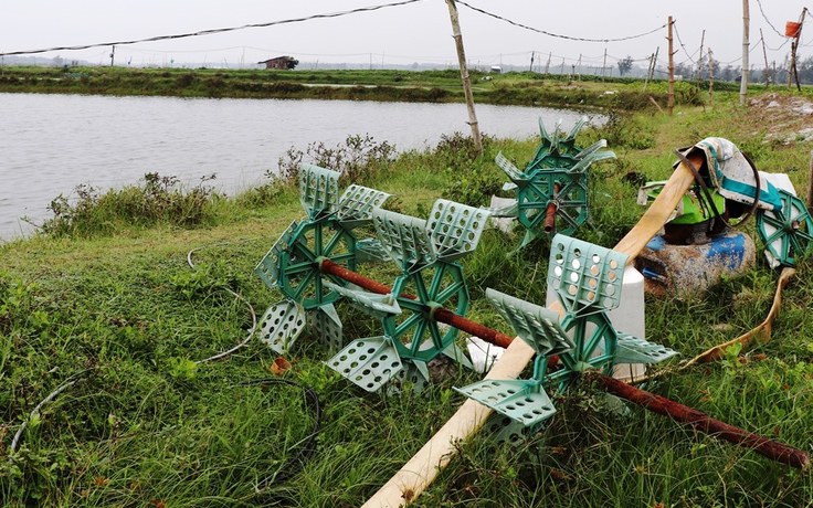 Quảng Nam: Bị điện giật tử vong khi sửa mô tơ điện ở hồ nuôi tôm