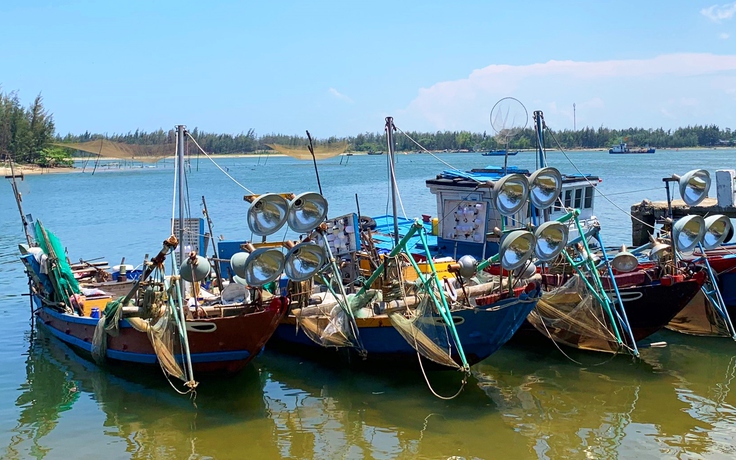 2 tàu cá Đà Nẵng và 3 tàu cá Quảng Nam khai thác thủy sản trái phép