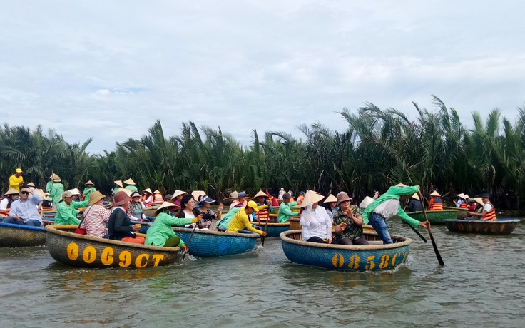 'Đổi 1 ha rừng dừa Cẩm Thanh cho dự án Cồn Tiến': Quảng Nam rút tờ trình