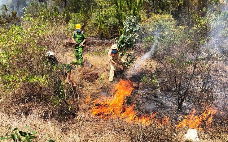 Quảng Nam: Hàng trăm người suốt 20 tiếng căng mình tạo đường băng cản lửa, dập cháy rừng