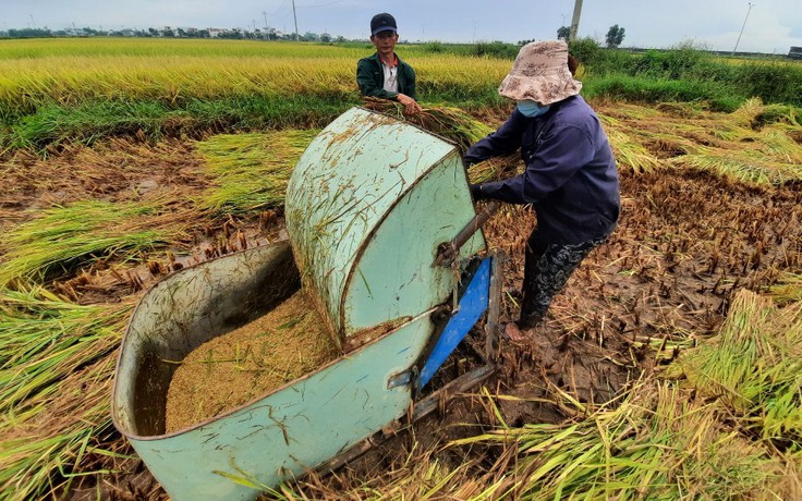 Bão số 5 chưa đổ bộ, vùng sạt lở Quảng Nam đã thiệt hại nhiều tài sản