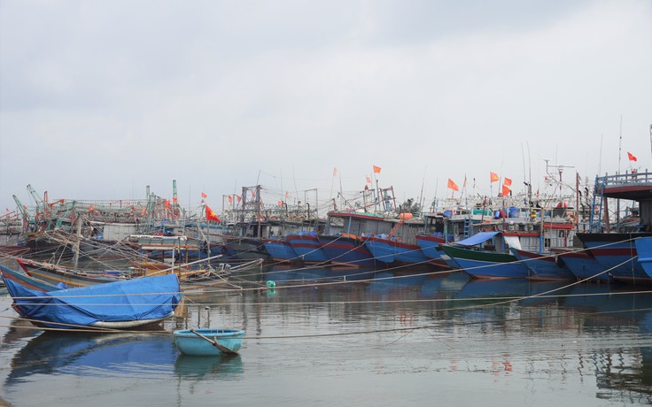 Quảng Bình: Tàu cá hỏng máy trên biển, 12 ngư dân chờ cứu hộ