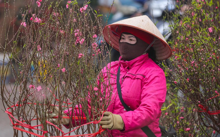 ‘Hoa cười, người khóc’ tại chợ hoa lớn nhất Hà Nội