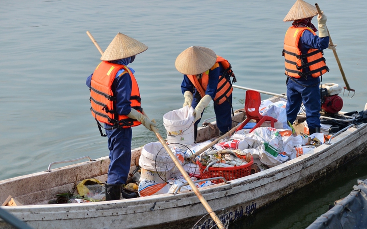 Cá chết bốc mùi hôi thối, nổi trắng hồ Tây do phóng sinh và thời tiết