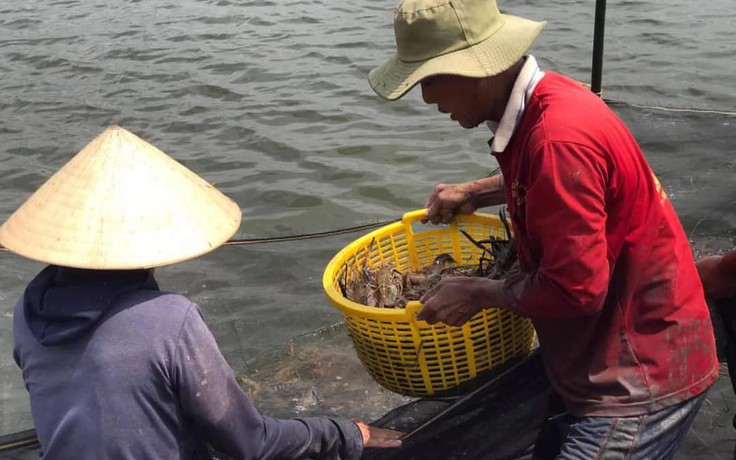 Ngày vía thần tài là ngày nào, vì sao nhiều người 'săn' cua, tôm, mèo may mắn?