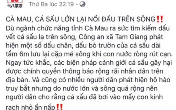 Fanpage quán trà đăng tin thất thiệt 'cá sấu lớn nổi đầu trên sông'