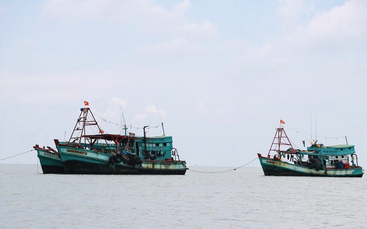 Cà Mau: Thuyền trưởng tàu cá bị phạt 630 triệu đồng