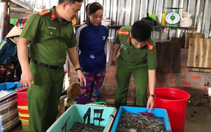 Cà Mau: Phạt 70 triệu đồng thương lái thu gom tôm sú nguyên liệu chứa tạp chất