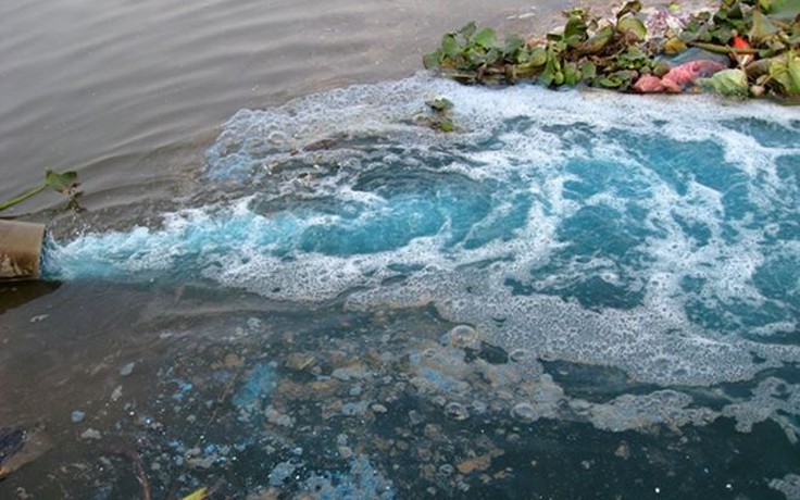 Cà Mau: Phạt công ty thủy sản xả thải ra môi trường 608 triệu đồng